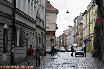 IMG_ (11268)